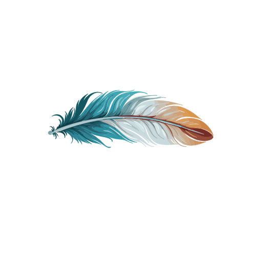 Multicolored feather on a white background